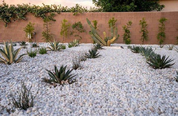 Laying out Gravel in Arizona backyard