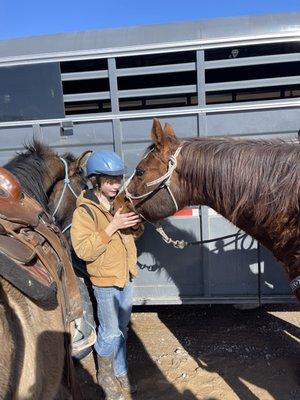 Connect with a horse and release your everyday stresses