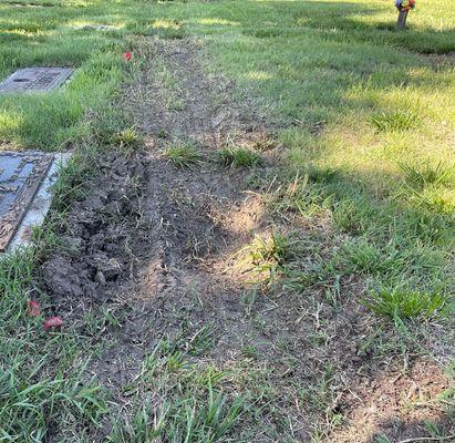 Another view of tire tracks over grave