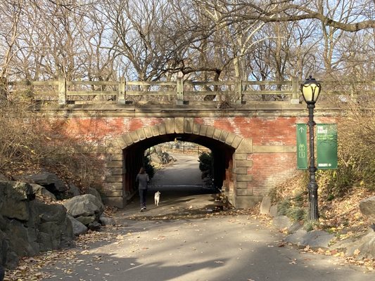 Willowdell Arch