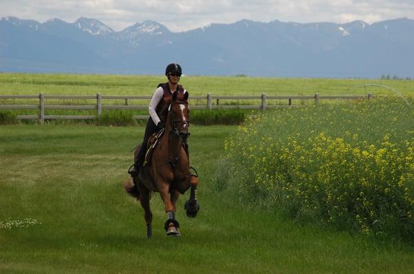 Dr. Hooks and Learning to Fly at Rebecca Farms in Montana