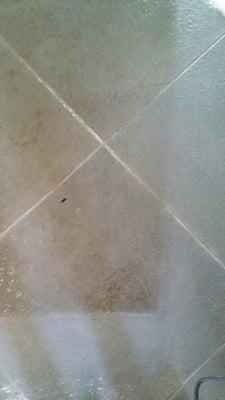 Picture of before and after of Blue Stone tile floor we cleaned in Ponte Vedra Beach