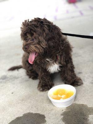 Peanut butter pup cup.. featuring the lovely Kali