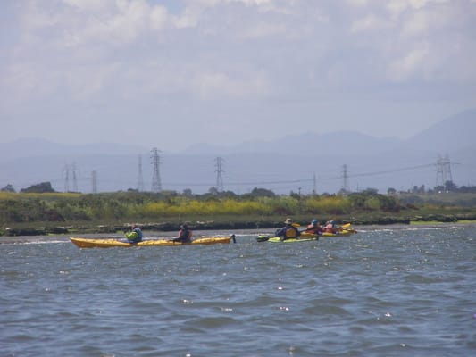 easy kayaking in the Elkhorn Slough National Estuarine Research Reserve and national marine sanctuary.