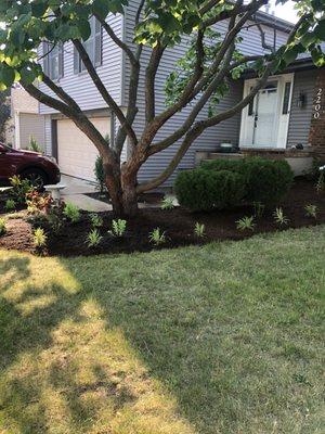 New plantings implemented from design of home