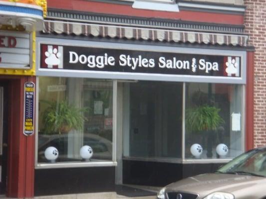 Doggie Styles Salon and Spa