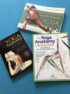 These are a few anatomy books we recommend and use in our YTT.