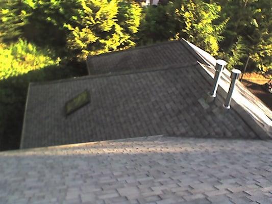 Mossy roof after