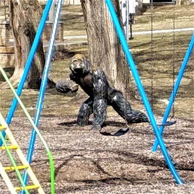 Gorilla in the park!