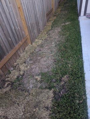 Contracted landscapers didn't replace my grass after drain install.