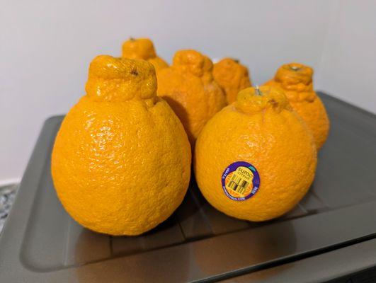 "Sumo Mandarins" aka Sumo Citrus aka dekopon fruit. $2.79 each. Picked up six today.