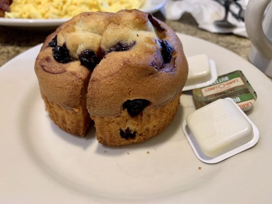 Blueberry muffin