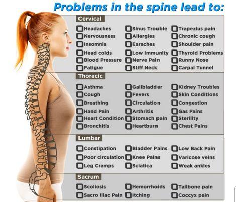 Schedule today! Good spinal health is the answer!