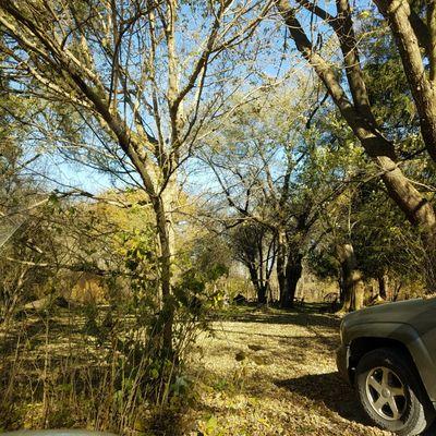 beyond the garden is a wooded area and a sweat lodge