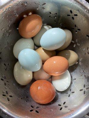 eggs (clean)