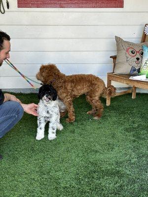 Meeting new peeps in the check in patio