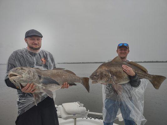 Big Black Drum