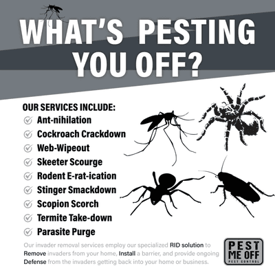 Ant, Roach, Spider, Wasp are just a few of the pest we remove