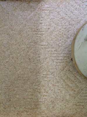 Carpet Cleaning Before & After - See for yourself the Chem-Dry Difference.