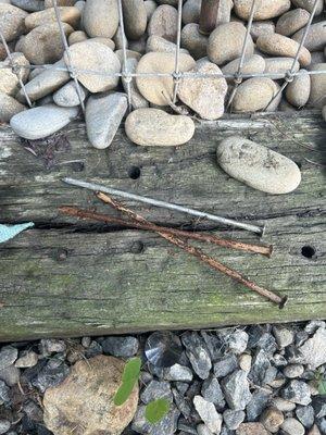 Nails found in the dog kennels.