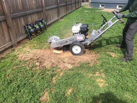 Stump grinding services available.