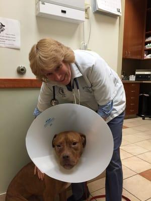 Thank you, Dr. Taylor and team for taking such good care of Mango!