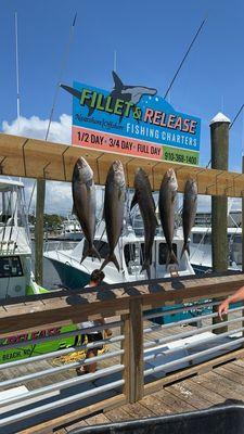 Fillet and Release Fishing Charters