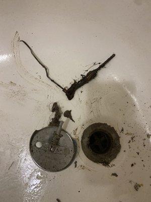 Dropped Or Broke Your Bathroom Stopper In Your Tub By Accident? No Worries Super Sewers NYC Can Fix It.