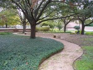 Our Memorial Garden walkway.