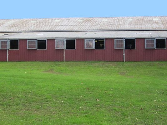 Every horse has a "Dutch Door" window!