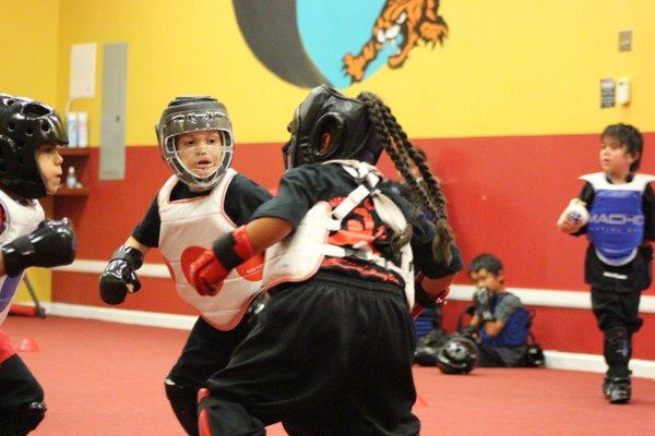 Sparring Class