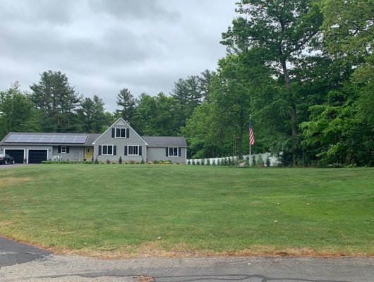 Fresh cut lawn.