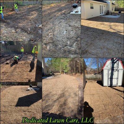 Installed centipede sod throughout the whole back yard and up the side.