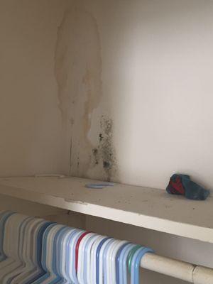 Mold in the closet