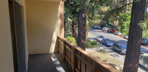 View of the Beautiful Redwoods From Some of Our Units Out Front!