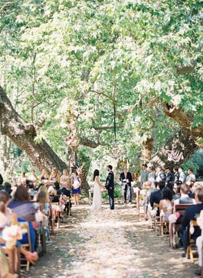 Wedding under the trees