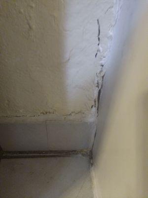 Holes in bathroom