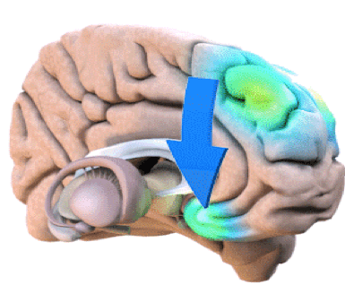 Mood circuit that is being safely stimulated in an non-invasive manner.