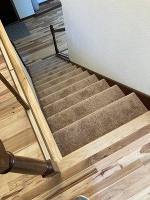 New carpet staircase, and wood floor.