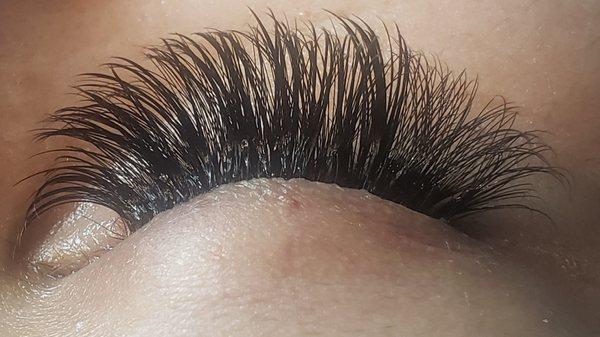 Volume Lash