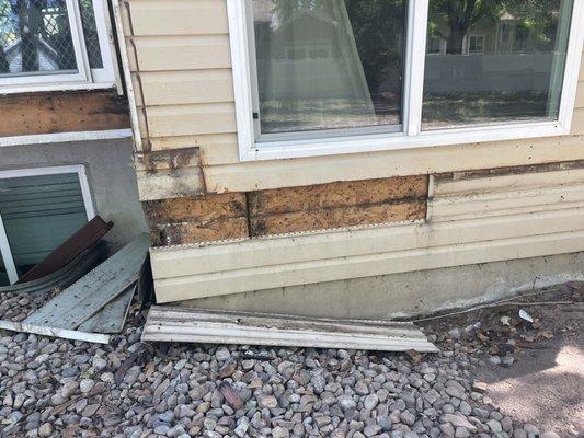 Rotted wood due to zero vapor barriers on siding