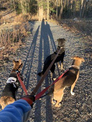 Long shadow girls walk at Green Spring Gardens