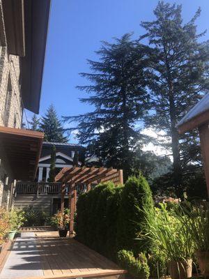 Landscaped courtyard on a beautiful day.