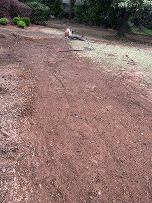 Sod and plant installation (before)