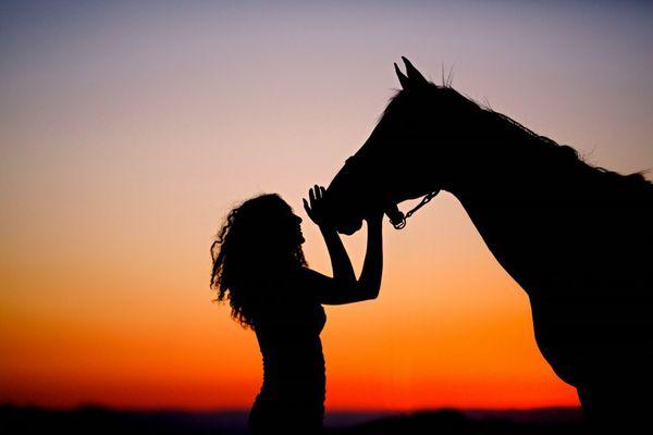 Enjoy our beautiful facility and quality training at HC Equestrian