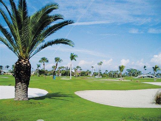 For the golfer, there's communities where you can step out your back door onto the golf course.