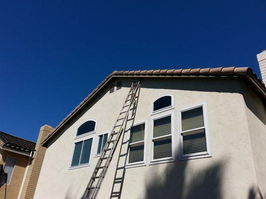 Swallow nest removal and netting install