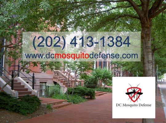 Sign up for your spring service now.  www.dcmosquitodefense.com