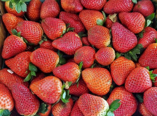 Delicious Strawberries