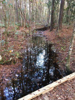 With all the rain yesterday, there's a nice little flow of water.